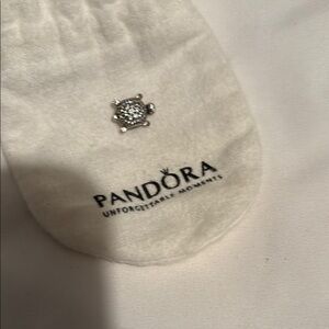 Pandora Silver Turtle Charm